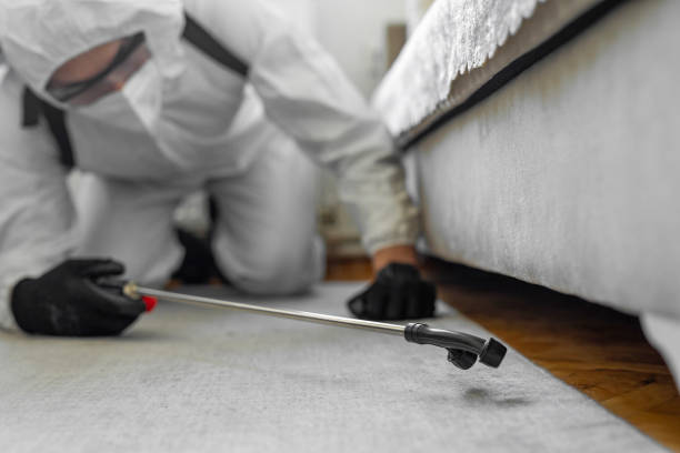 Professional Pest Control technician working in Perry County County, TN